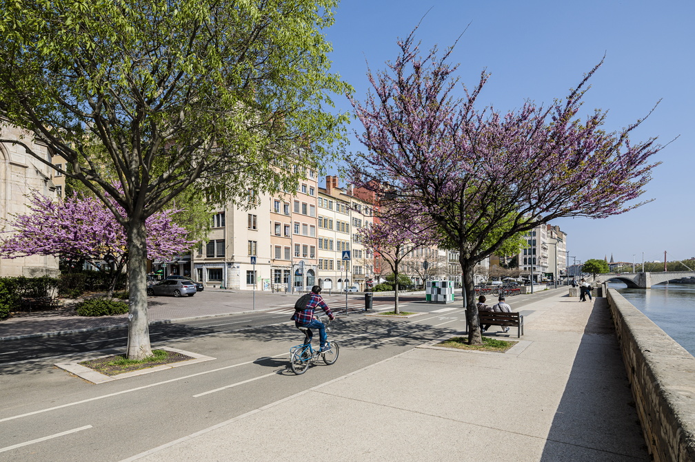 ローヌ川沿いの遊歩道