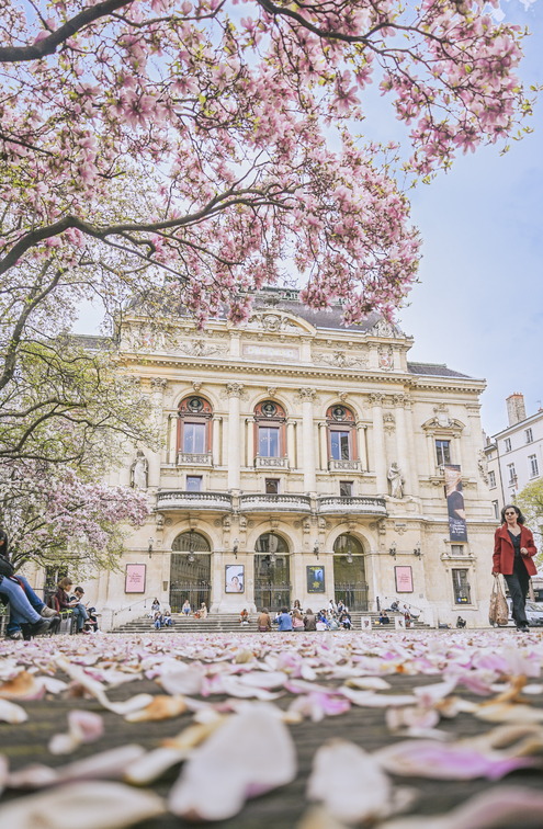 プレスキル中心部の Theatre des Celestins